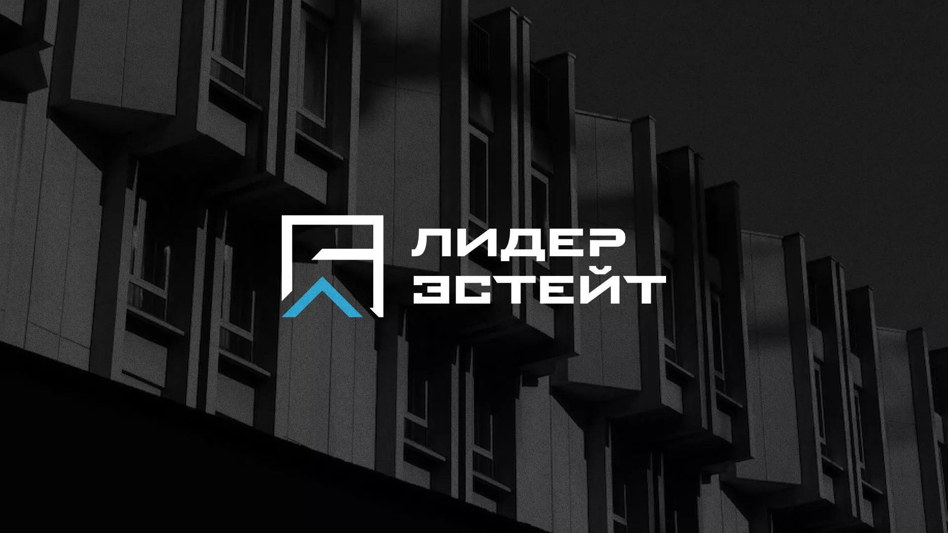 Разработка логотипа агентства недвижимости «Лидер Эстейт» в Усть-Катаве